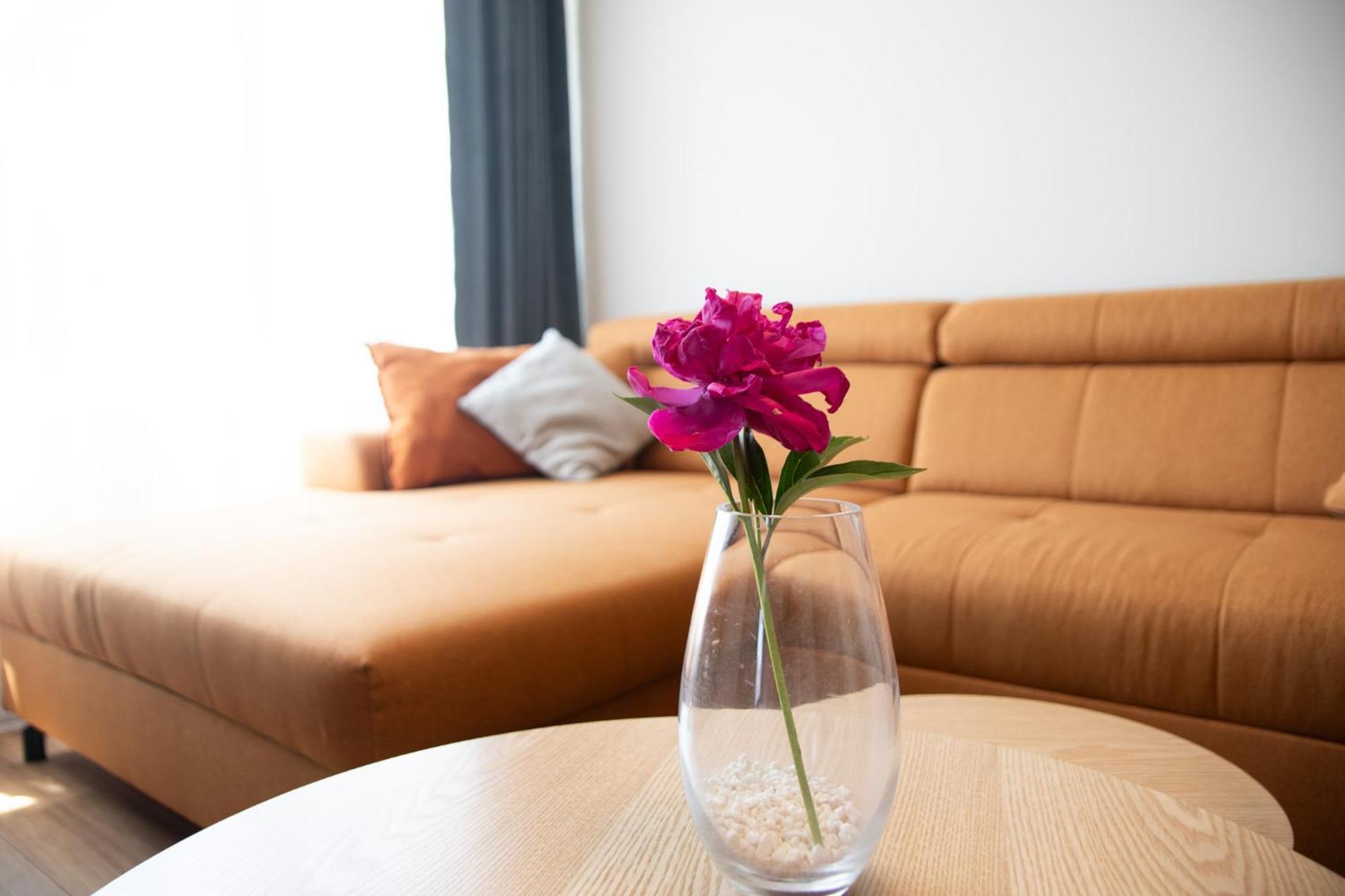 Misia Lapa Apartment *
